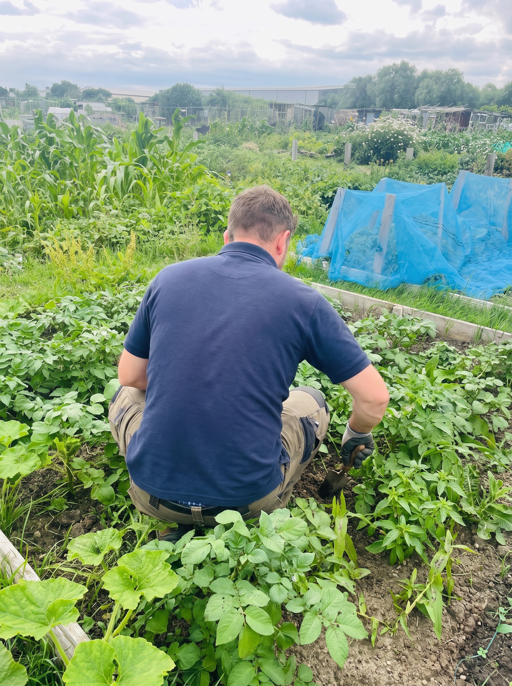 Low Hall Farm Allotments in Leyton London